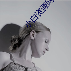 小白(bái)资源网(wǎng)站