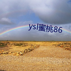 ysl蜜桃86