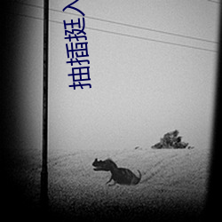 抽插挺入白嫩后入