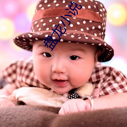 盘龙小(xiǎo)说