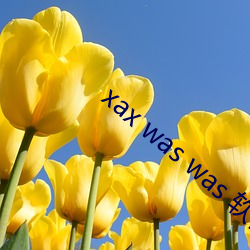 xax was was 软件v3.9.19