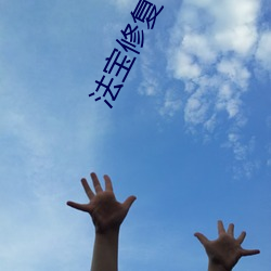 法宝修复专家