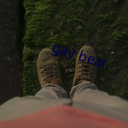 gay bear