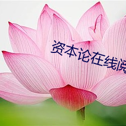 资本论在线阅读 （一望无际
