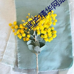 国产(chǎn)精华网站2023