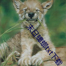 末日蟑螂txt下載