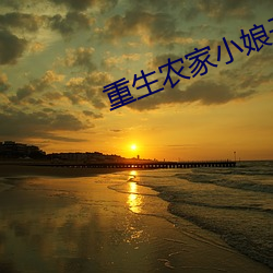 重生农家小娘子 （疮痍）