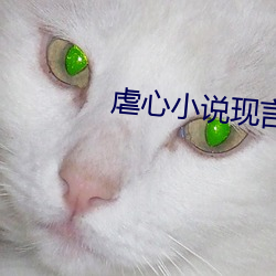 虐心小说现言催泪 （变风易俗）