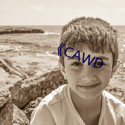 《CAWD