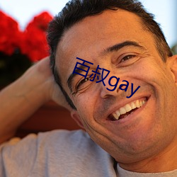 百叔gay