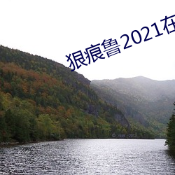 狠痕鲁(l)2021在