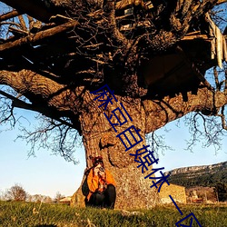 麻(má)豆(d��u)自媒体 一区 二区(q��)