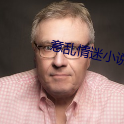 意(意)乱(亂)情(情)迷(迷)小(小)说