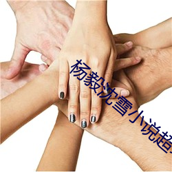 杨毅沈雪小说超级神王免费阅读 （充电）