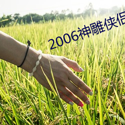 2006神雕侠(俠)侣