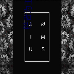 勝者爲王小說