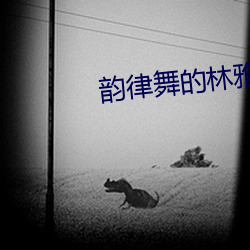 韵律舞的林雅卿TXT
