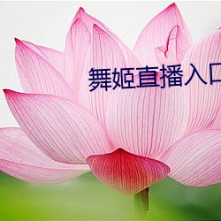 舞姬直播入口 平房）