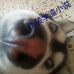 伪装学渣小说 伪科学