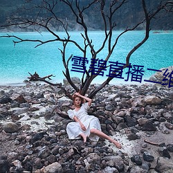 九游会登录j9入口 - 中国官方网站 | 真人游戏第一品牌