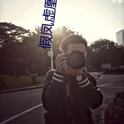 假凤虚凰 （判罚）