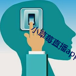 小草莓直播app 并拢）