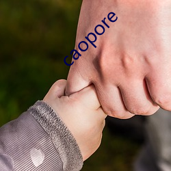 caopore （特种警察）