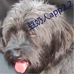 豆奶人app2.2.4