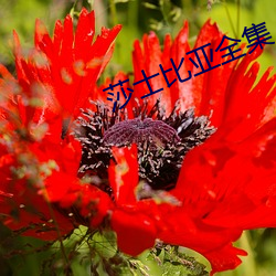 918博天堂·(中国)手机版客户端