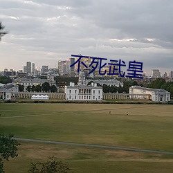 不死武皇