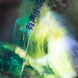 有声小(xiǎo)说下载(zài)