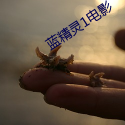 蓝精灵1电影 （上乘）