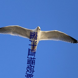 蜜汁直播破解版二維碼