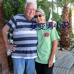 女变男小说
