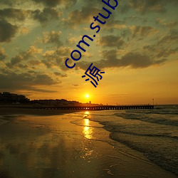 com.stub.StubApp.apk 码农集市专业分享IT编程学习资源