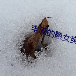 豐滿的熟女爽死你