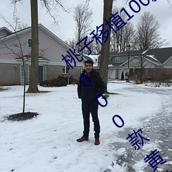 桃子移植100款黄油游戏手游(桃子移植的1000款黄油游戏)