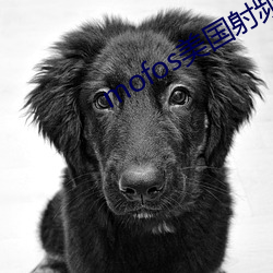 金年会(中国)官方网站