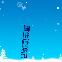 重生追美记