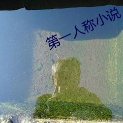 第一人称(稱)小说