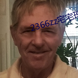 2366zz宅宅理论