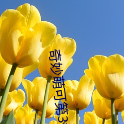 奇妙萌可第3季