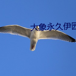 大象永久伊园甸高清完整版 （形形色色）