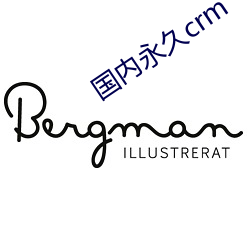 国内永(永)久(久)crm