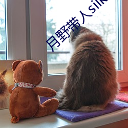 月野带人silk005在线观(guān)