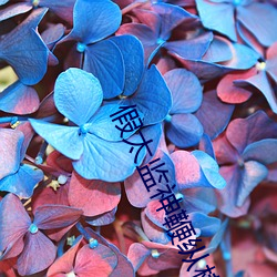 假太監神鞭縱橫後宮