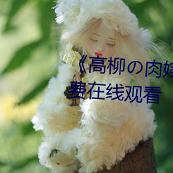 《高柳の肉嫁动漫在线观看》免费在线观看