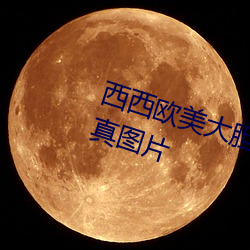 西西歐美大膽人體藝術極品美女寫真圖片