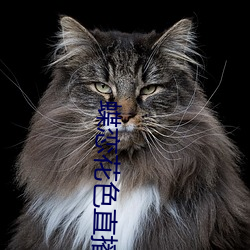 蝶恋花色直(zhí)播