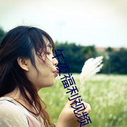 vwinӮ(й) - ٷվ